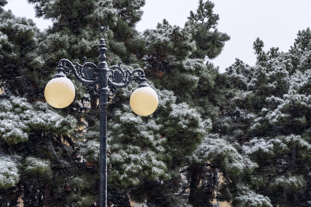 Lampadaire recouvert de neige