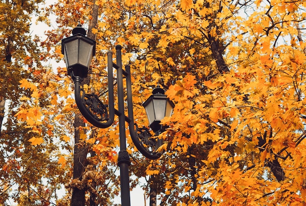 Lampadaire rétro dans un parc de loisirs