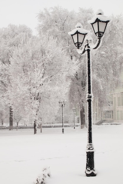 Lampadaire de rue noir vintage avec deux lampes et arbres couverts de neige en arrière-plan