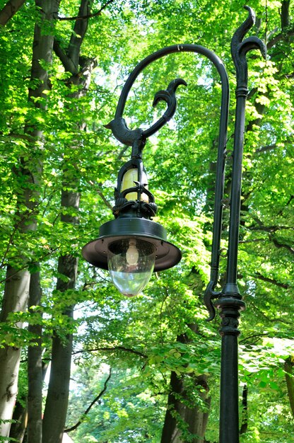 Lampadaire de style ancien