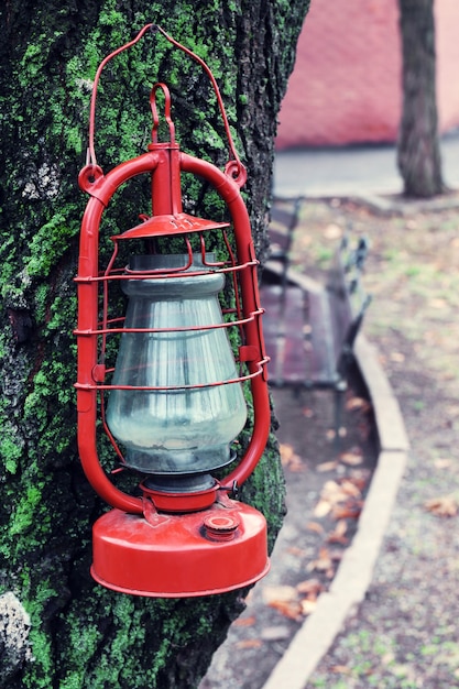 Lampe au kérosène sur arbre, à l'extérieur