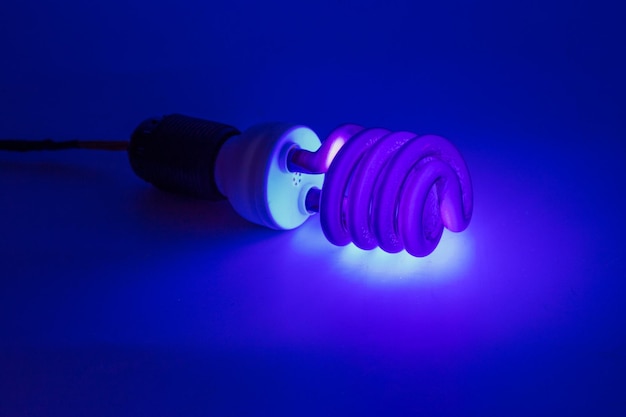 Lampe fluorescente à cathode froide CCFL ultraviolette compacte sur une surface blanche allumée