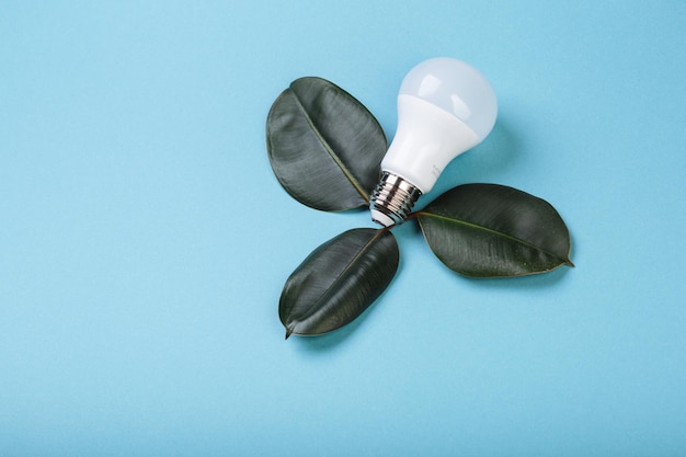Lampe à LED avec feuille verte Concept d'énergie ECO Technique mixte Lieu isolé pour la légende et le texte