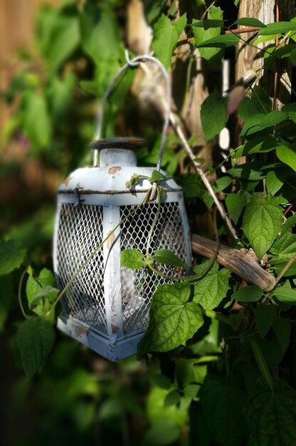 Photo lampe solaire