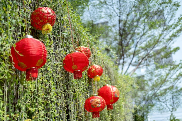 Des lampes rouges chinoises traditionnelles sont accrochées pour la décoration lors d'un événement chinois