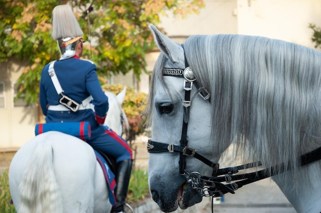 Lanciers de la garde royale espagnole avec des chevaux blancs
