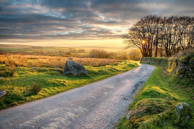 Lande de Bodmin