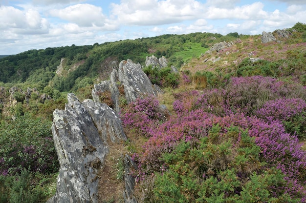 La lande de Liscuis est située à l'est de l'île.