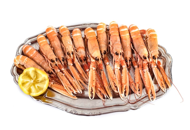 Langoustines fraîches en studio