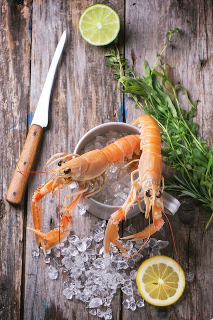 Langoustines sur glace