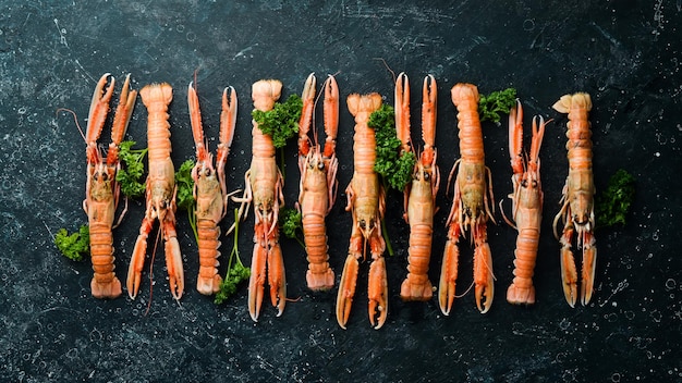 Langoustines. Langoustine sur fond de pierre noire. Langoustines crues. Vue de dessus. Espace de copie gratuit.