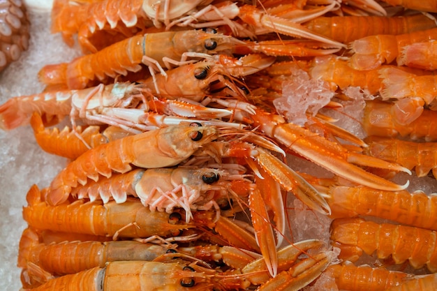 Langoustines de langoustines crues fraîches sur glace