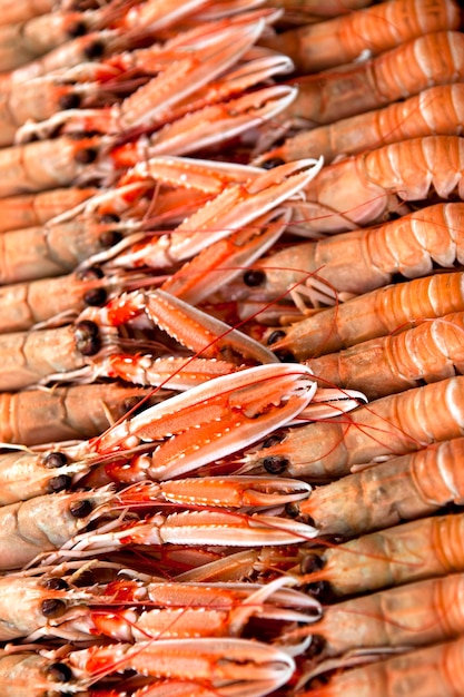 Langoustines