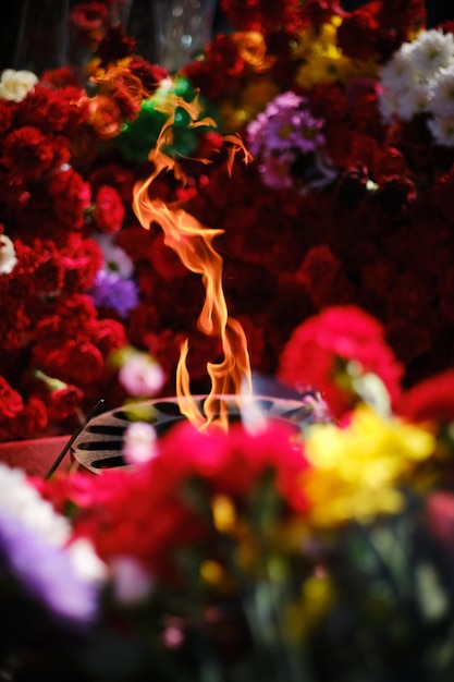 Langues feu éternel parmi les fleurs roses et les œillets posés à la flamme éternelle