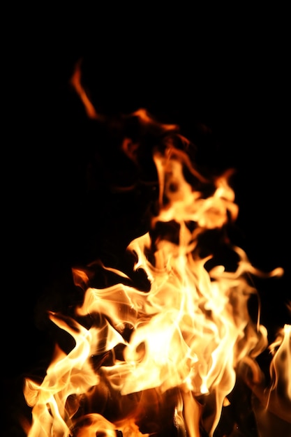 Langues d'une flamme de feu de couleur jaune orangé de bois de chauffage brûlant