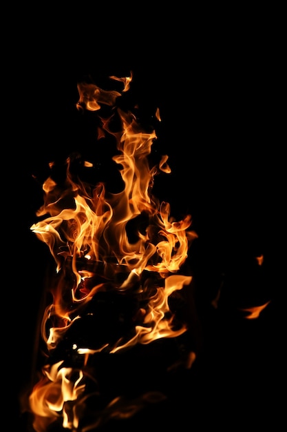 Langues d'une flamme de feu de couleur jaune orangé de bois de chauffage brûlant