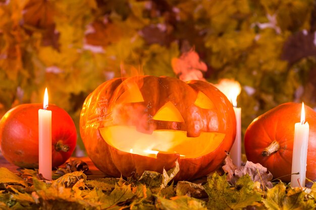 Lanterne citrouille d'Halloween avec des feuilles sèches, des bougies et de la fumée.