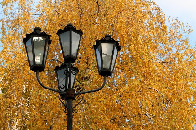 lanterne dans l'image de fond du parc automne