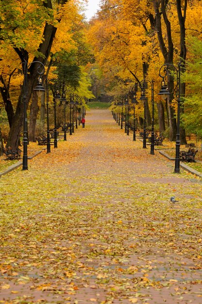 Lanterne dans le parc automne