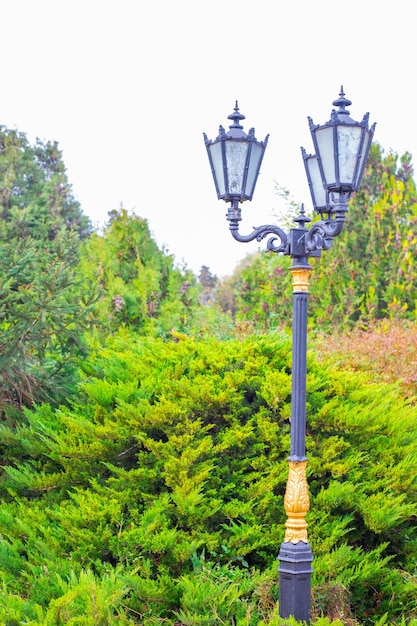 Lanterne dans un parc verdoyant avec thuya Journée d'été dans la nature