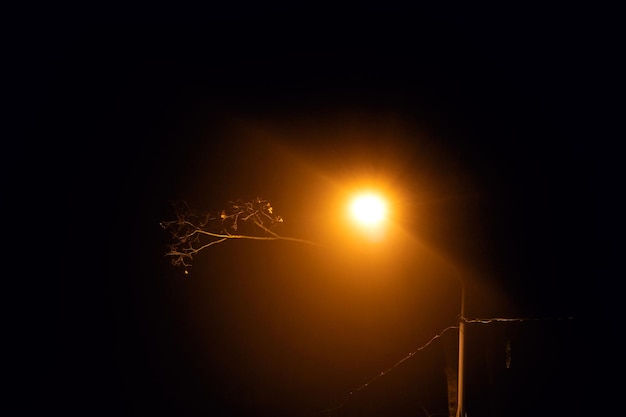 Lanterne jaune et branche d'arbre dans l'obscurité