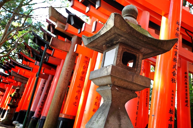 Lanterne en pierre avec torii