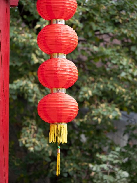 Lanterne rouge suspendue sur le fond de la feuille d'arbre