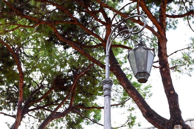 Lanterne urbaine médiévale et arbre d'automne