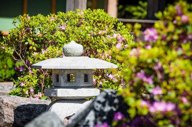 Lanternes japonaises et fleurs au printemps dans le parc.