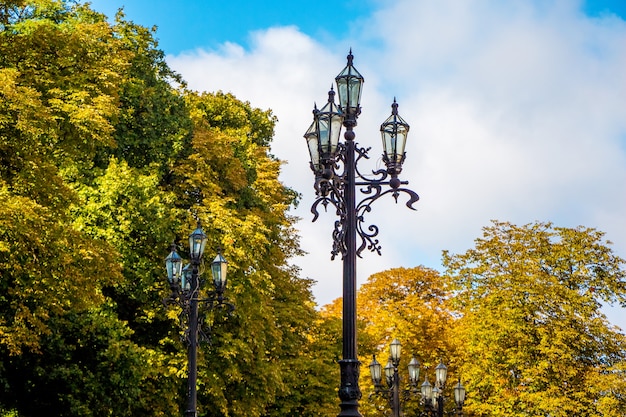 Lanternes parmi les arbres du parc de la ville par temps ensoleillé