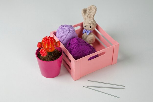 Lapin Amigurumi aux yeux noirs et noeud papillon, cactus, boîte en laine et crochets