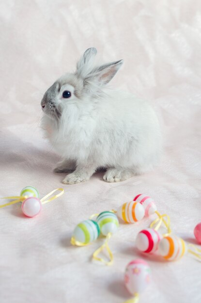 Lapin Aux Oeufs De Pâques