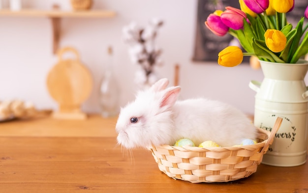 Un lapin blanc est assis dans un panier avec des oeufs colorés Beau fond de Pâques avec un espace pour le texte