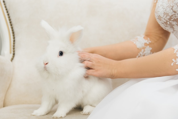 Lapin blanc mignon assis à côté de la mariée. Matin du jour du mariage