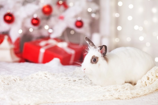 Lapin blanc mignon avec des décorations festives