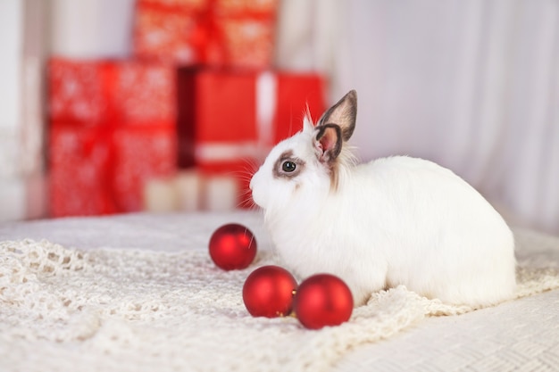 Lapin blanc mignon avec des décorations festives