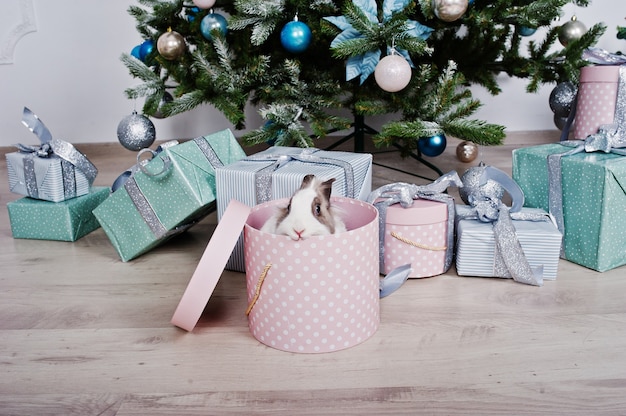 Lapin drôle à la boîte de cadeaux sous l'arbre du nouvel an. Concept de joyeuses fêtes d'hiver.