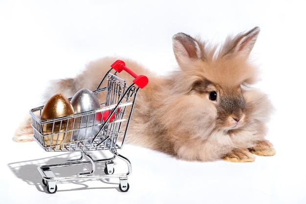 Le lapin est allongé à côté d'un panier en fer avec des œufs de Pâques en or et en argent