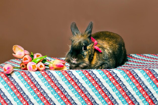 Lapin avec fleurs printemps Pâques