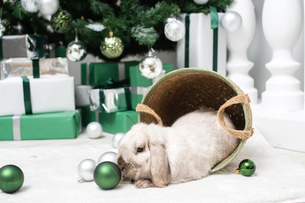 Un lapin gris de Noël est assis près d'un panier sous un sapin de Noël avec des boîtes de cadeaux