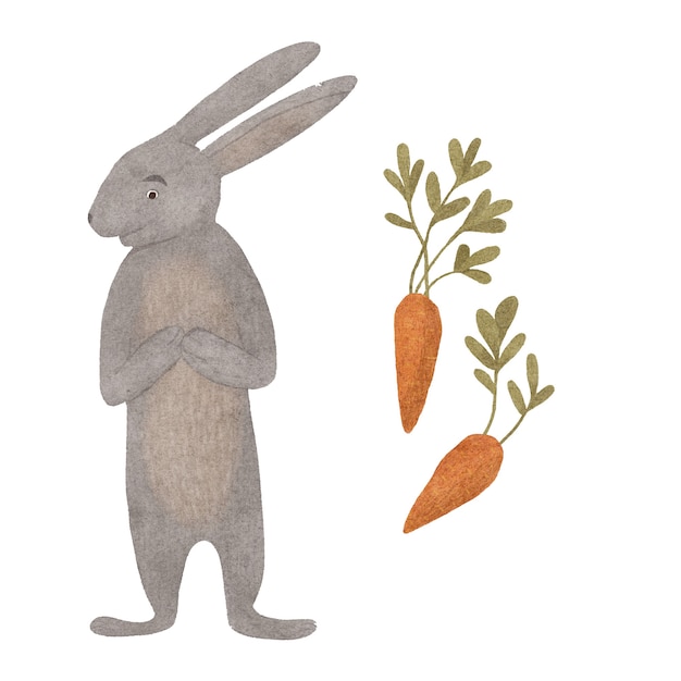 Photo lapin isolé avec des carottes éléments de design mignon illustration dessinés à la main