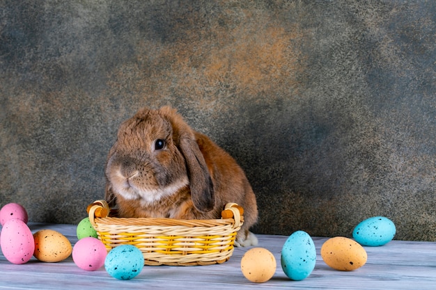 Le lapin joufflu de Pâques leva l'oreille. Panier en osier avec des oeufs de Pâques festifs.