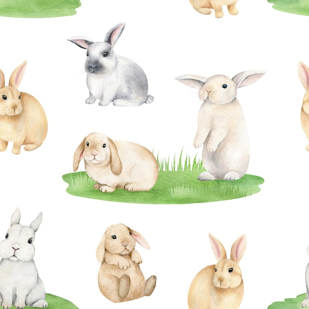 Lapin mignon sur glade modèle sans couture illustration d'animaux aquarelle dessinés à la main pour les lapins en tissu w