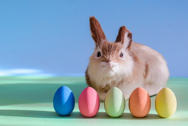 Lapin mignon et oeufs de Pâques