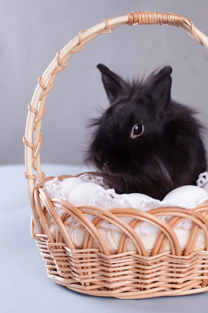 Lapin noir dans le panier de Pâques avec des œufs blancs - symboles traditionnels de la Pâques chrétienne