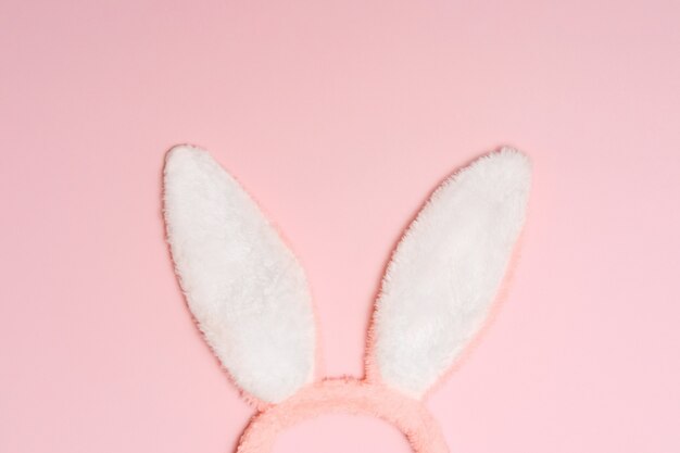 Lapin, oreilles de lapin sur fond rose.