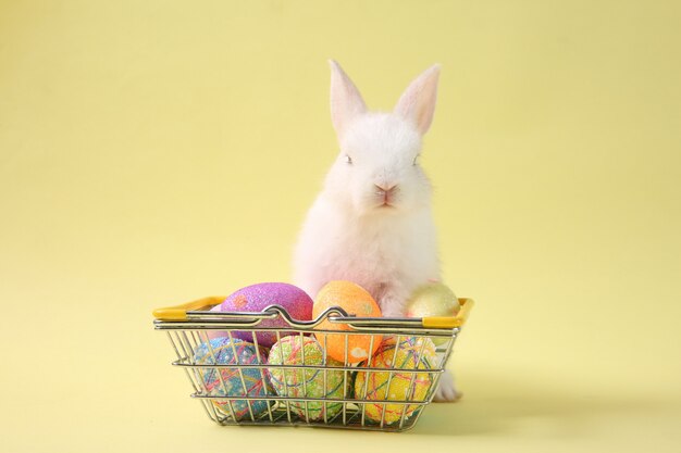 Photo lapin de pâques blanc avec oeuf peint dans le panier en bois