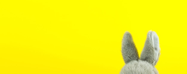 Lapin de Pâques. Gros plan des oreilles de lapin sur fond jaune.