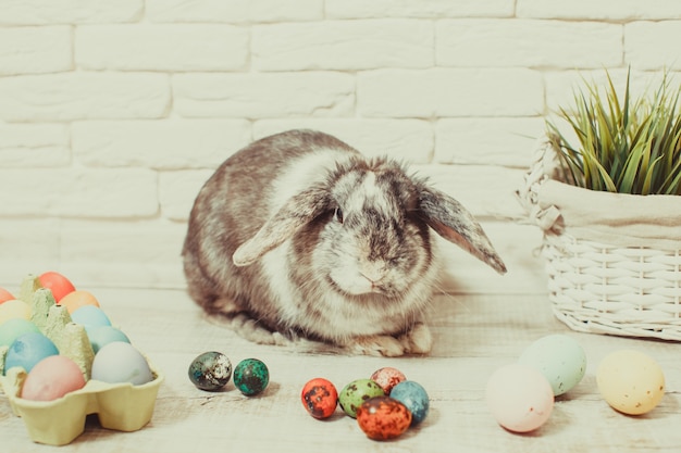 Lapin de Pâques à la maison avec des œufs et de l'herbe verte