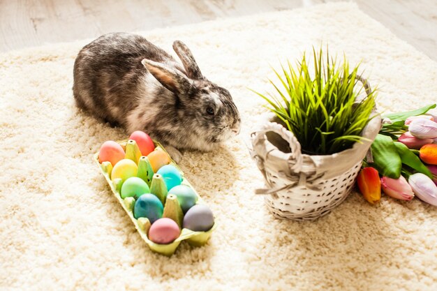 Lapin de Pâques à la maison avec des œufs et de l'herbe verte